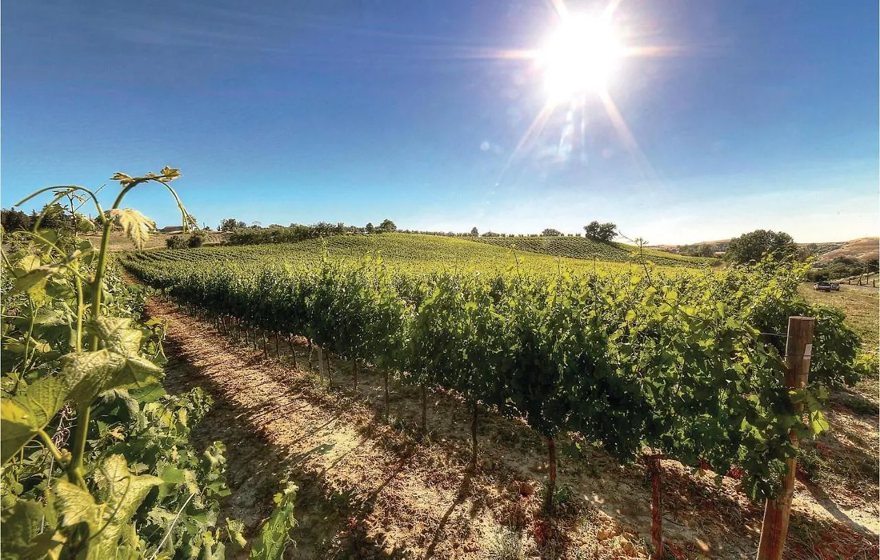 Andrea-Podere Moricci Montaione Holiday home